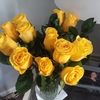 classylady529
